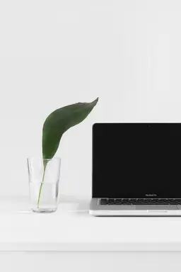 A Macbook next to a glass with a leaf in it